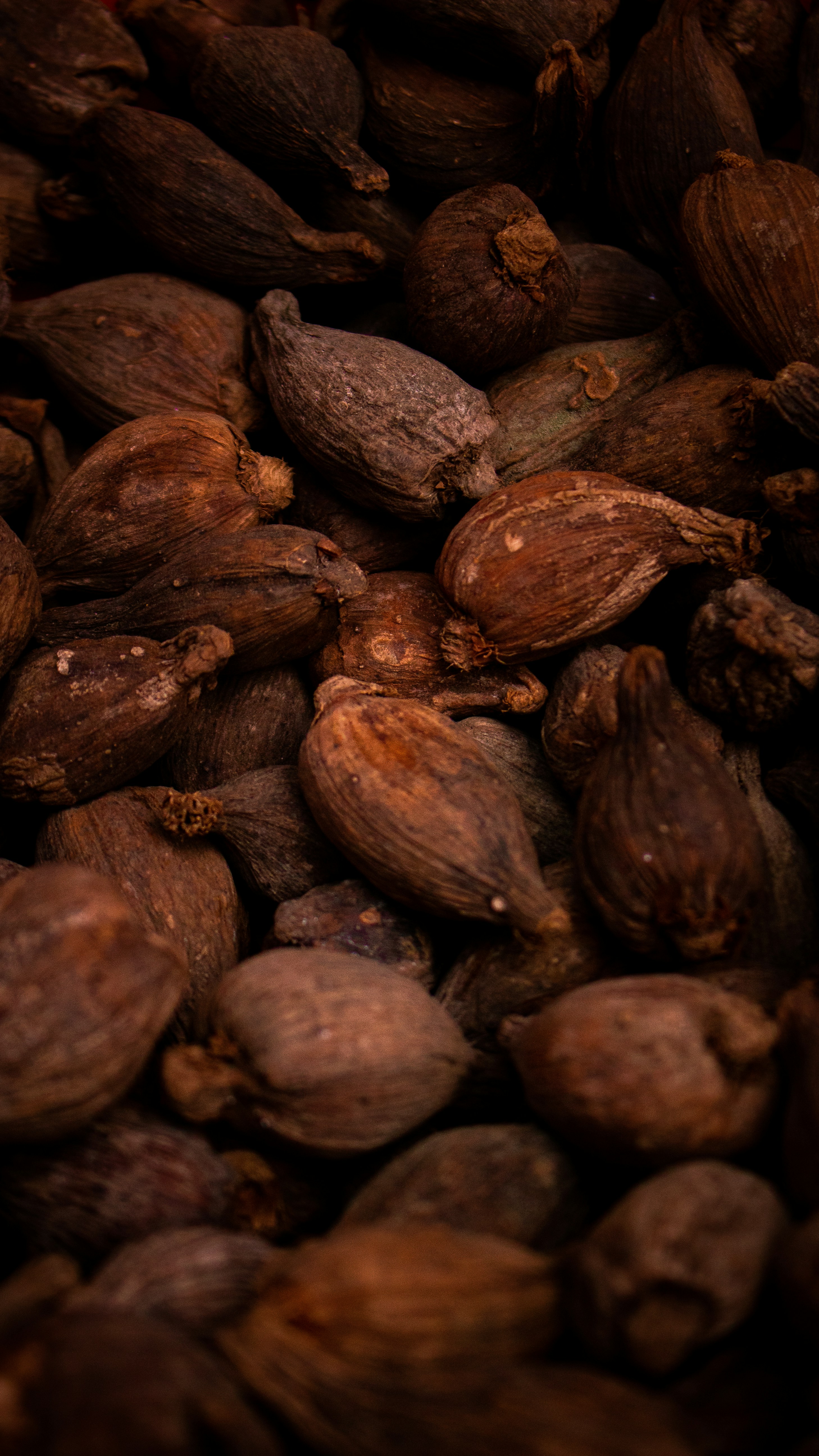 Dark Chocolate